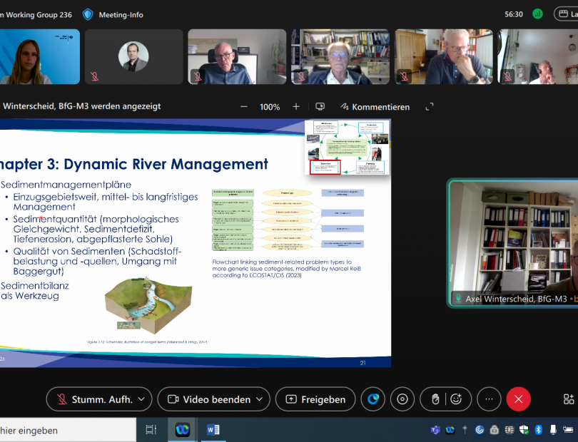 Screenshot aus dem virtuellen Meeting der Deutschen PIANC Sektion am 07.07.2025