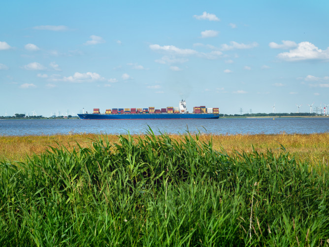 Containerschiff auf der Elbe mit Naturstreifen im Vordergrund